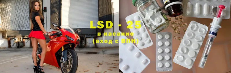 закладки  OMG зеркало  LSD-25 экстази ecstasy  Ардатов 